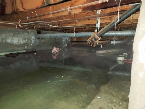 Best Fire Damage Restoration  in Sioux Falls, SD