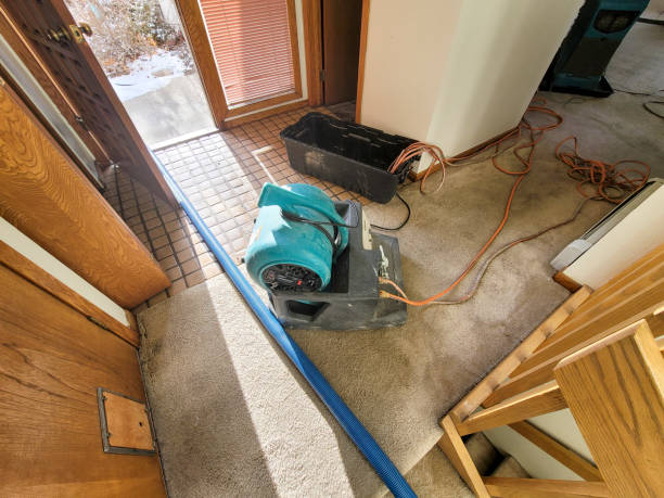 Best Commercial water damage restoration  in Sioux Falls, SD