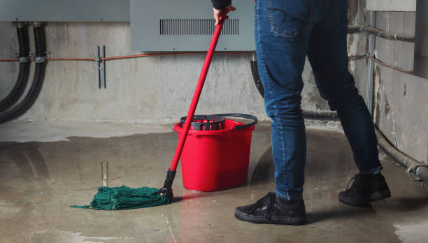  Sioux Falls, SD Water damage restoration Pros