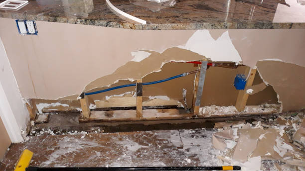 Best Flood damage cleanup  in Sioux Falls, SD