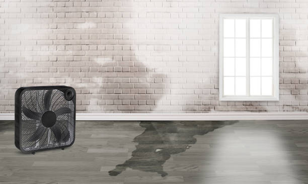 Best 24-hour water damage restoration  in Sioux Falls, SD
