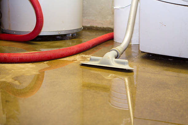 Best Water damage cleanup near me  in Sioux Falls, SD