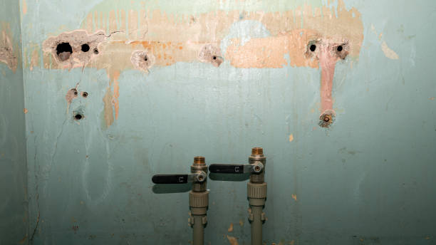 Best Ceiling water damage repair  in Sioux Falls, SD