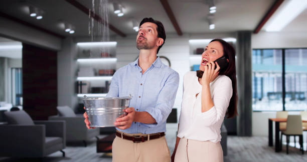 Best Mold removal after water damage  in Sioux Falls, SD