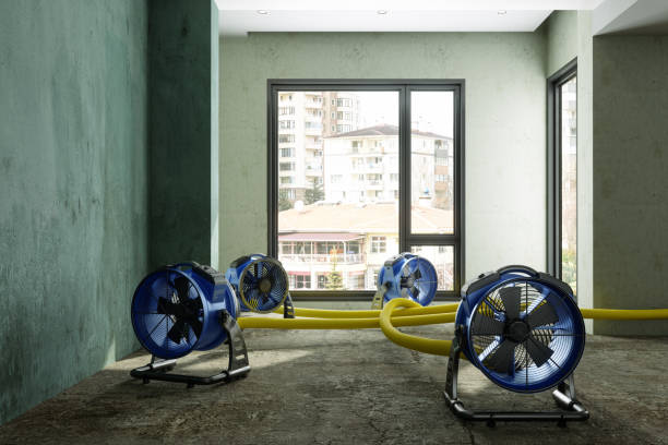 Best Water damage restoration company  in Sioux Falls, SD